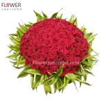 100 red roses