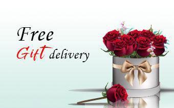 Free Gift