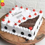 Square Shape New year cake