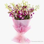 Elegant Bunch of Orchids
