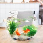 Goldfish bowl