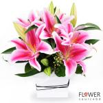 Lily in elegant vase