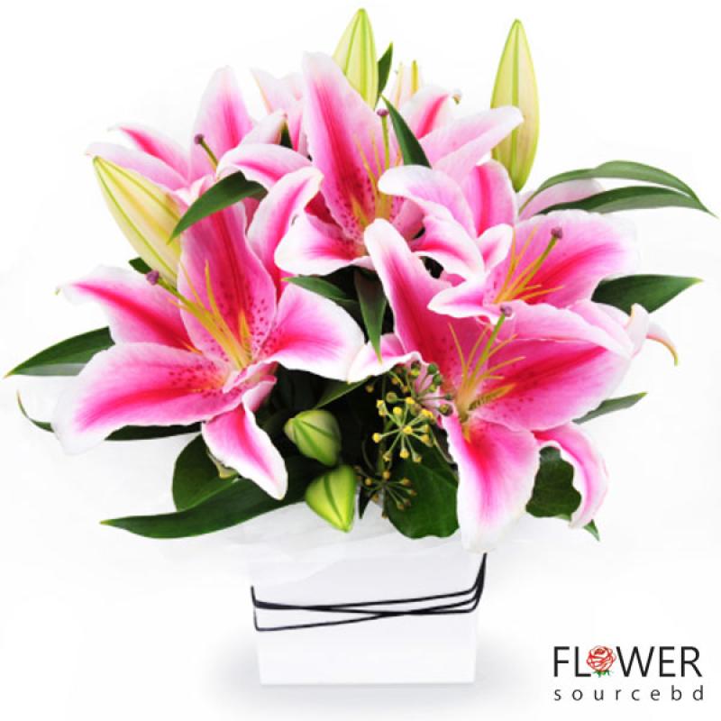 Lily in elegant vase