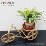 Deshi Charm – Rickshaw With Indoor plants