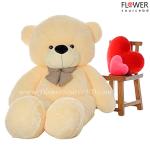 Big teddy bear in cream