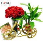 Gift with live plant and roses in a vase
